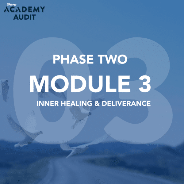 AUDIT: Academy Phase 2: Module 3: Inner Healing & Dilervance