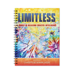 course_limitless-3d-binder_manual